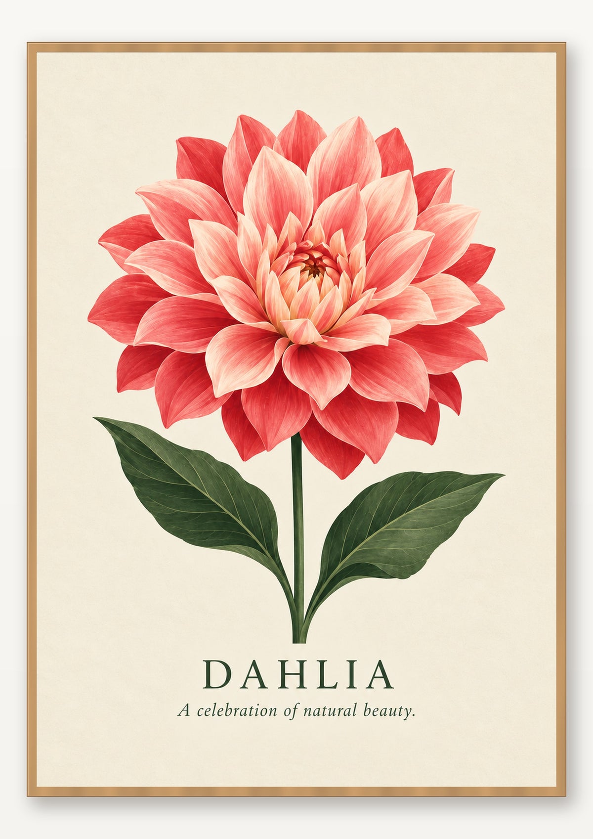 Dahlia botanical art print in natural wood frame