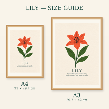 Lily art print size guide for A4 and A3