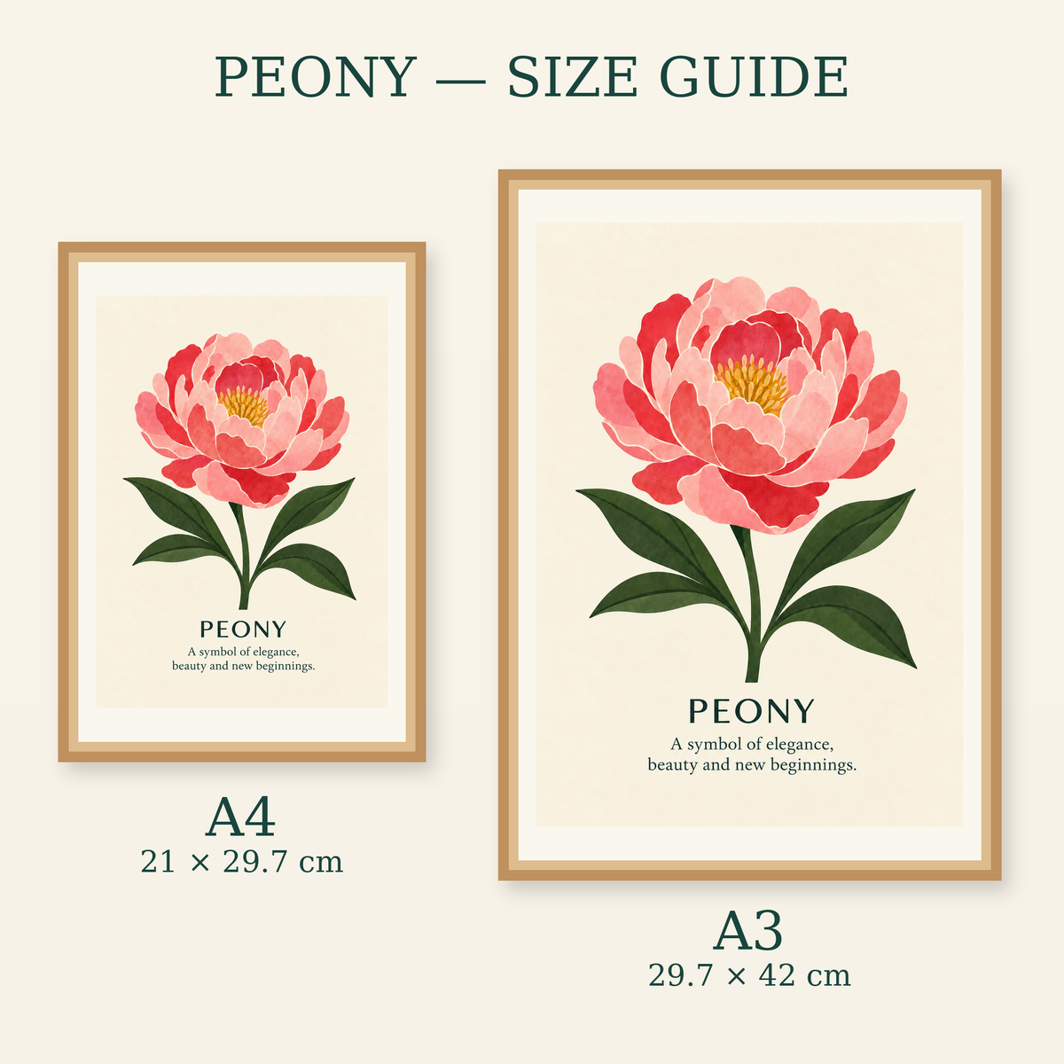 Peony art print size guide for A4 and A3