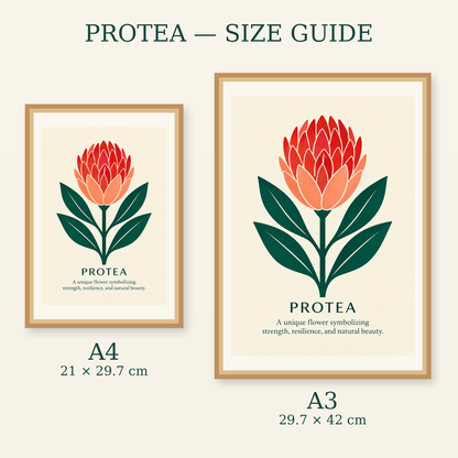 Protea art print size guide for A4 and A3