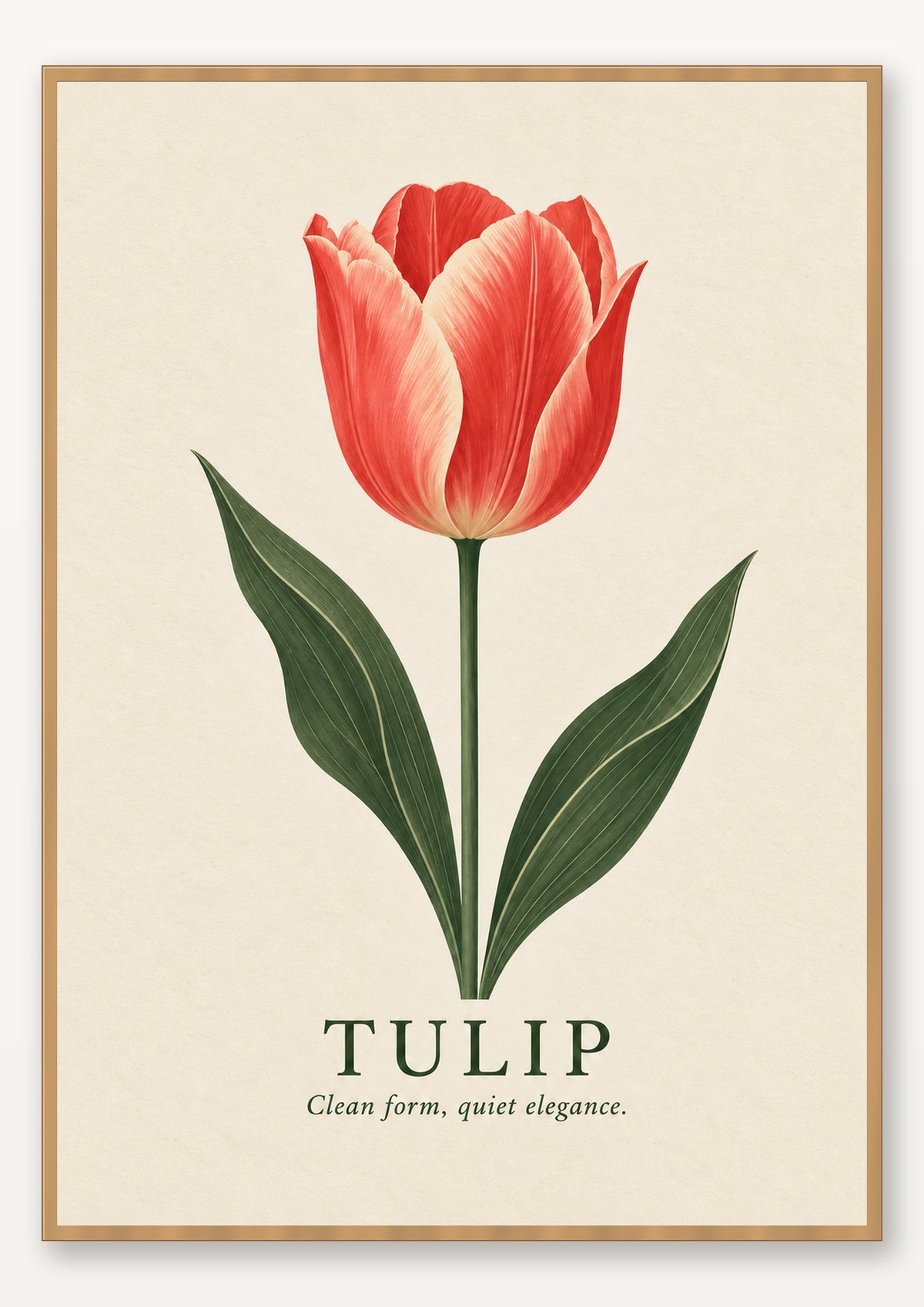 Tulip botanical art print in natural wood frame