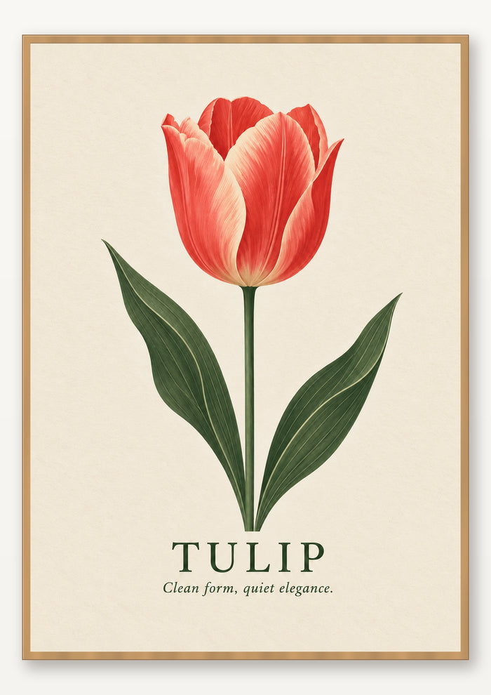 Tulip botanical art print in natural wood frame