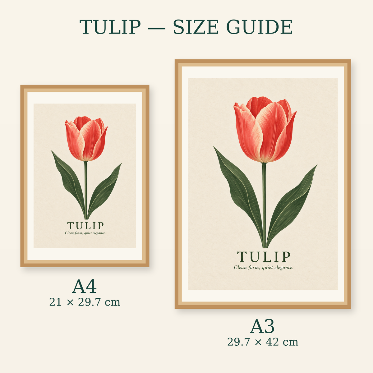 Tulip art print size guide for A4 and A3